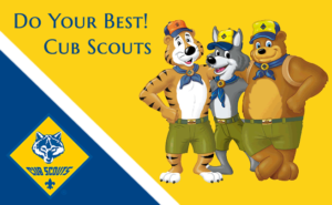 Cubscout2